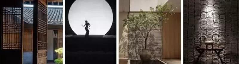 张萍老师蔷薇之舞,艺术家的诗意生活-4