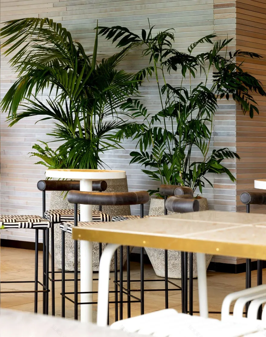 新西兰 Euro Bar 现代海滨俱乐部风格打造丨新西兰奥克兰丨CTRL Space-24