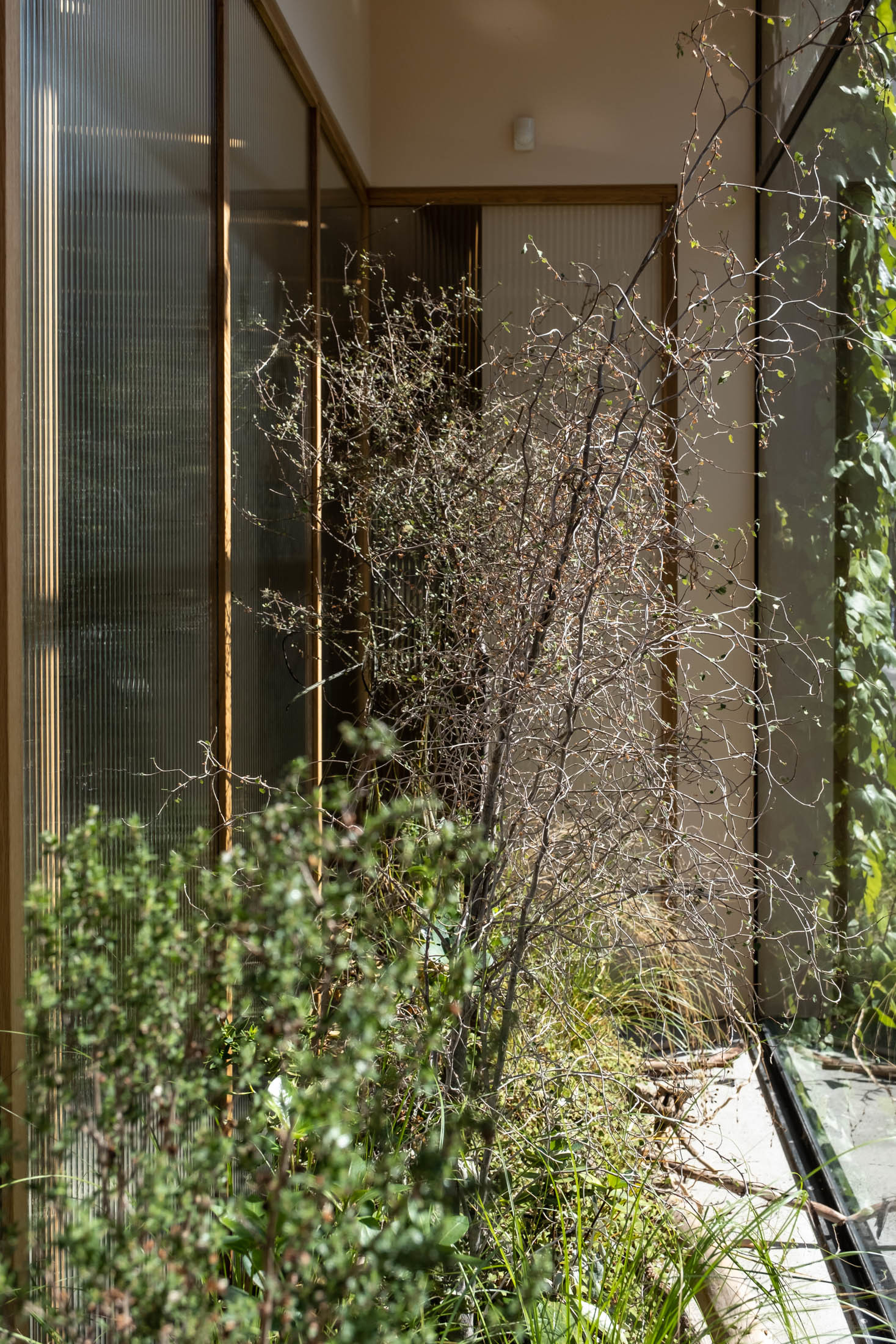 Maggie Marilyn - Xanthe White Design-25