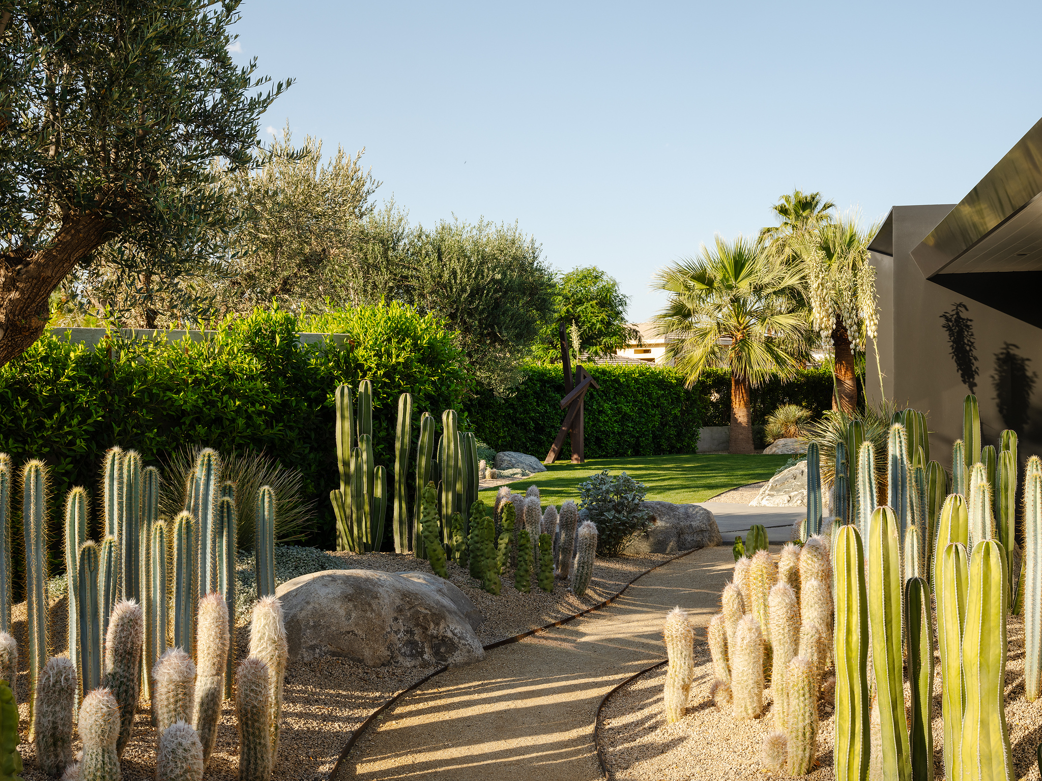 AR  D Architects加州百年橄榄树下住宅-13