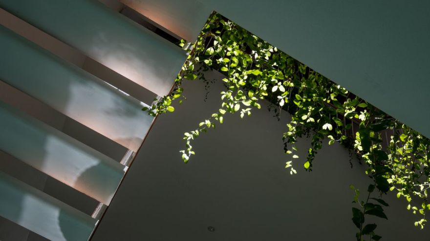 都市中的世外桃源·品味宁静与自然-12