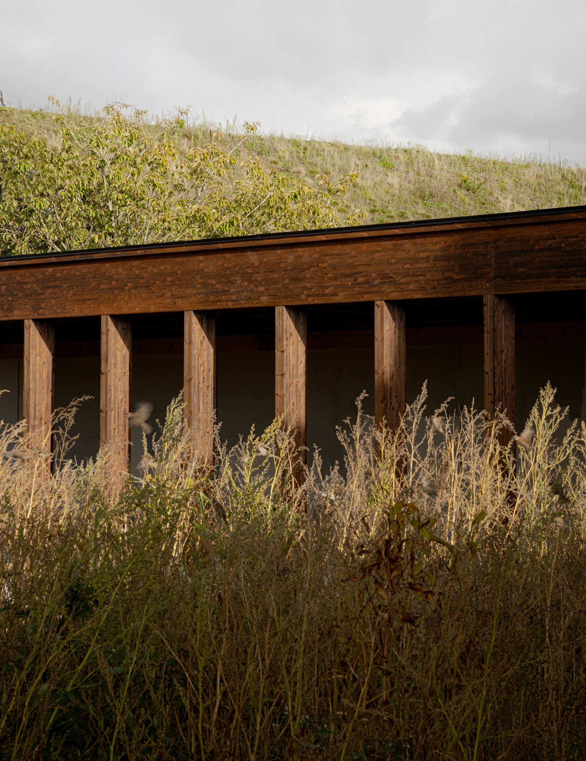 丨瑞典丨NORM Architects-31