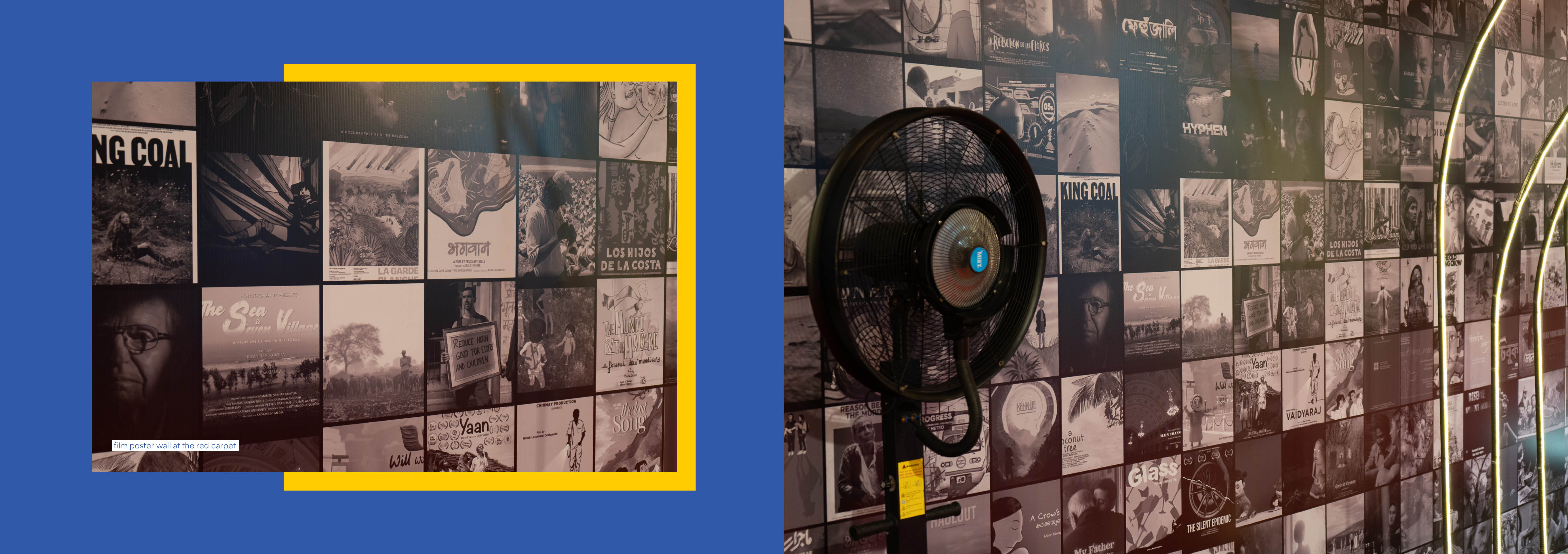 18th Mumbai International Film Festival - Spatial-60