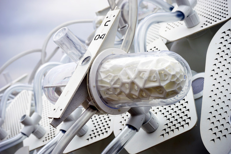 昆虫农场与庇护所结合的创新建筑-21