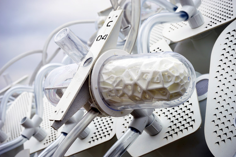 昆虫农场与庇护所结合的创新建筑-21