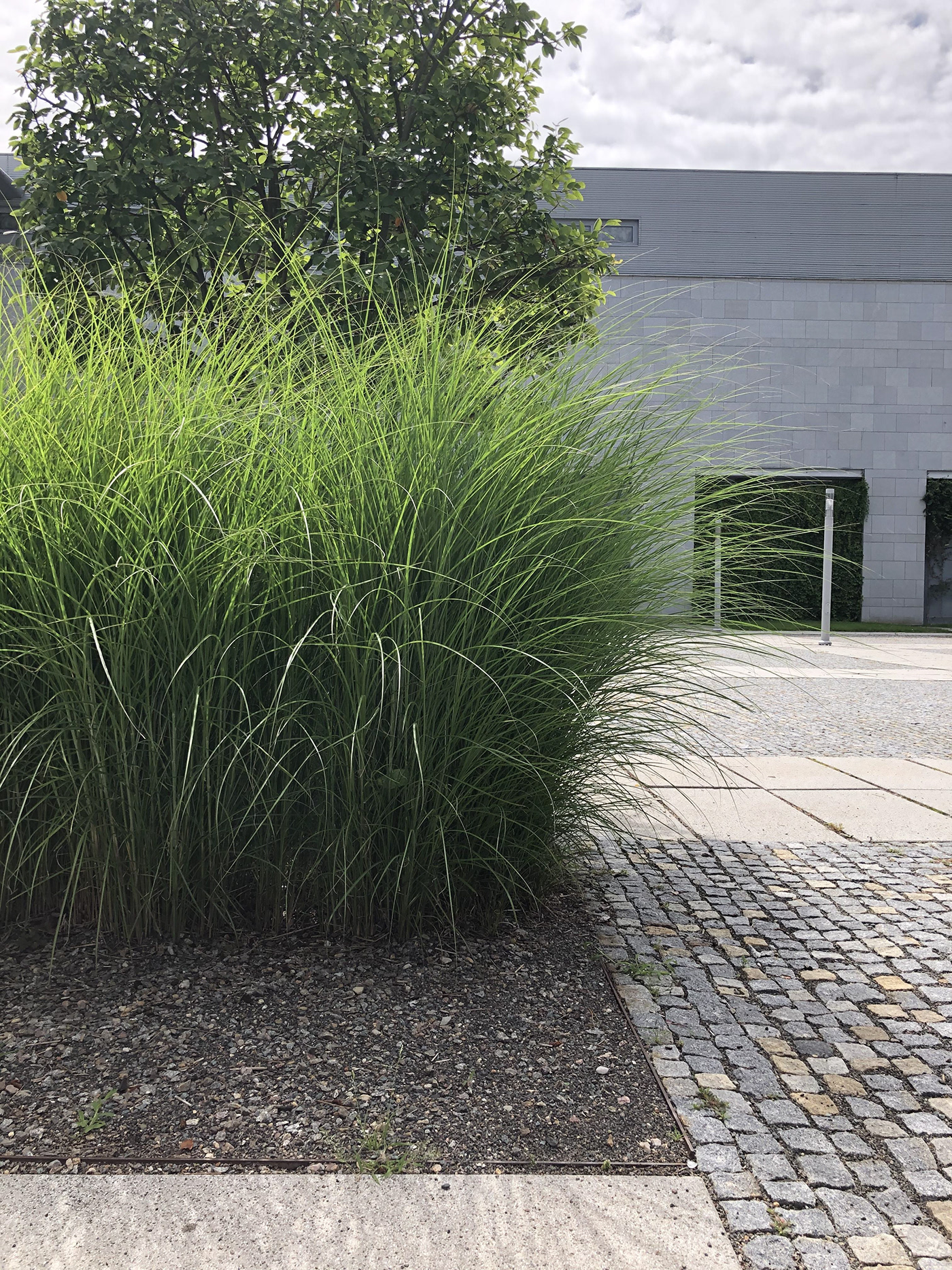 Urban Photography Challenge-6