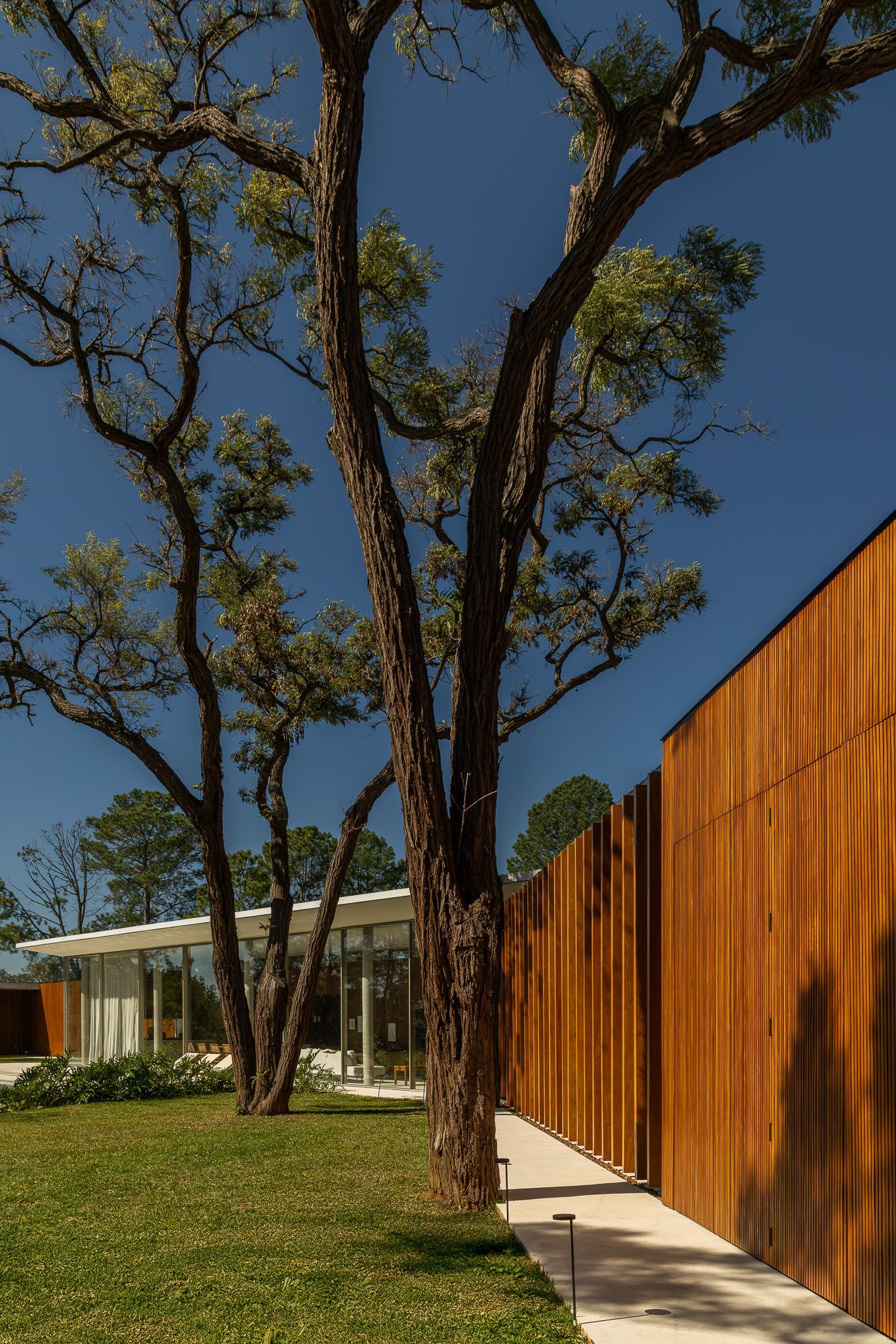 GC 大厦（由于GC含义不明确，若它有特定指代，需结合具体语境确定更准确的翻译，此为一般情况表述） 丨巴西圣保罗丨Estúdio Naia-19