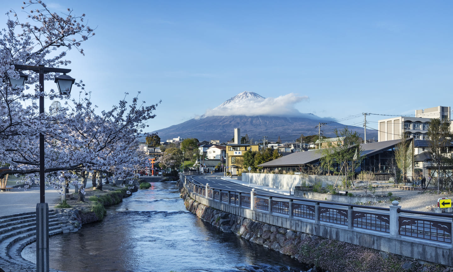 Mt Fuji Brewing  Suppose Design-4