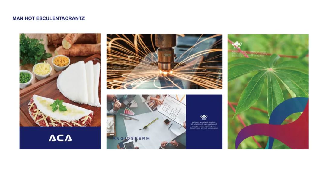 【非洲木薯联盟ACA】视觉形象设计-42