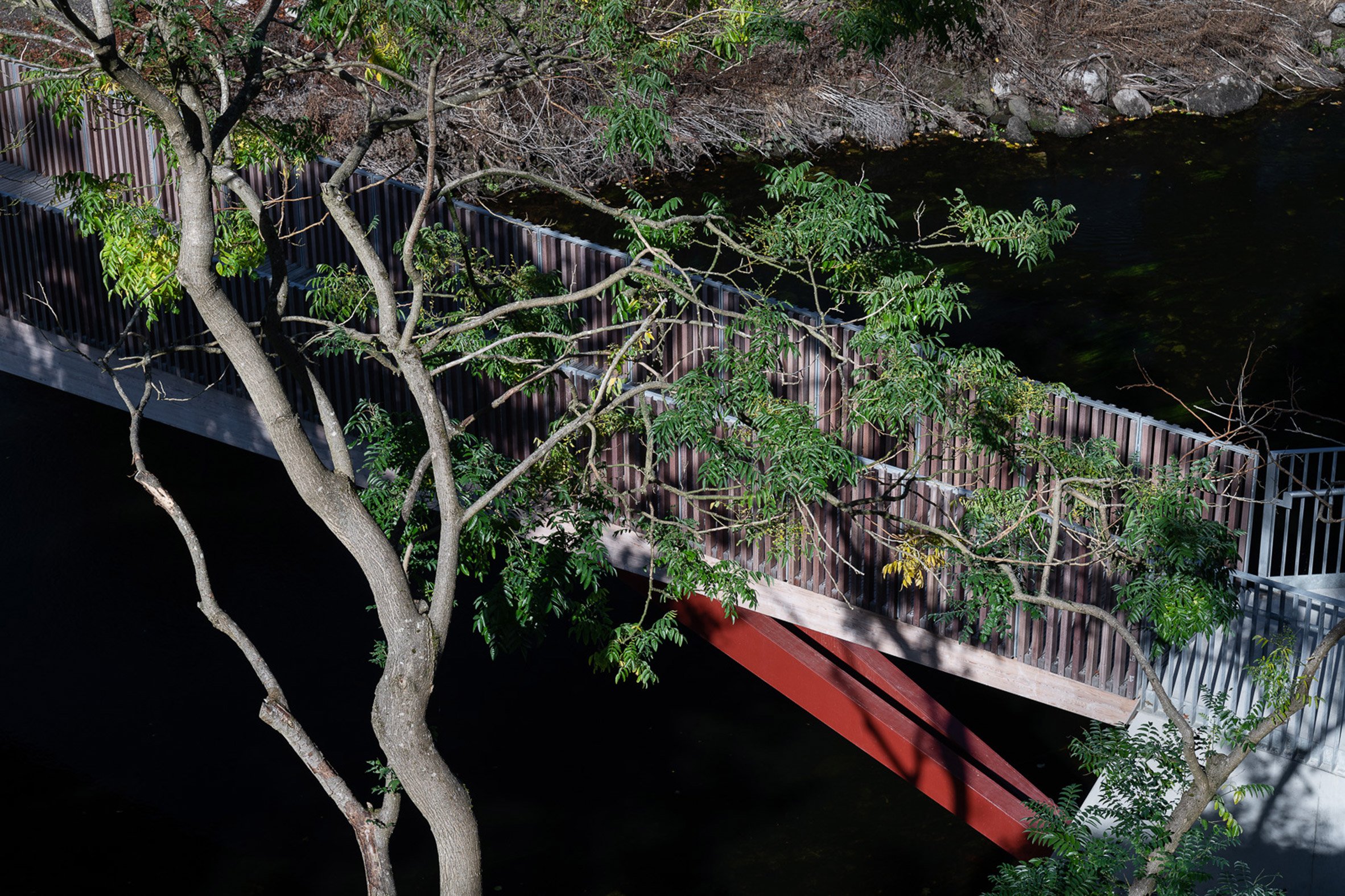 爱尔兰建筑师 O'Donnell + Tuomey 打造 UCC 木混凝土人行桥-14