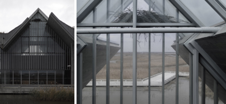 "一体两面"的崇明东滩湿地科研宣教中心-177