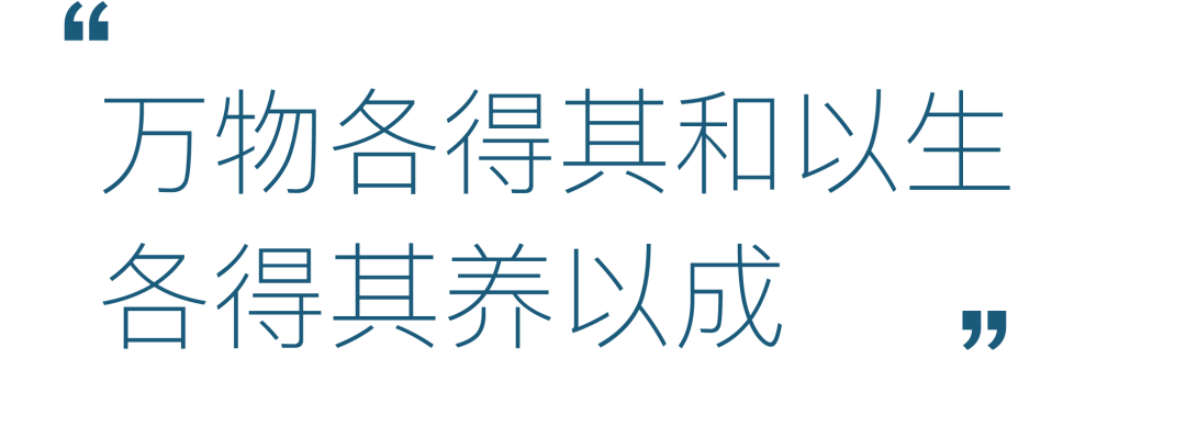 CAC京典首发|立于海口之巅，见云海新高度-10