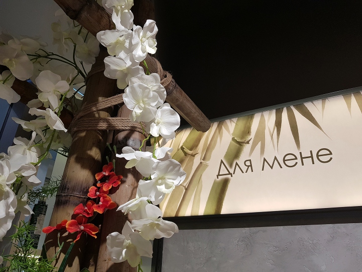 乌克兰 ISEI 美容店_自然氛围中的亚洲风格-19