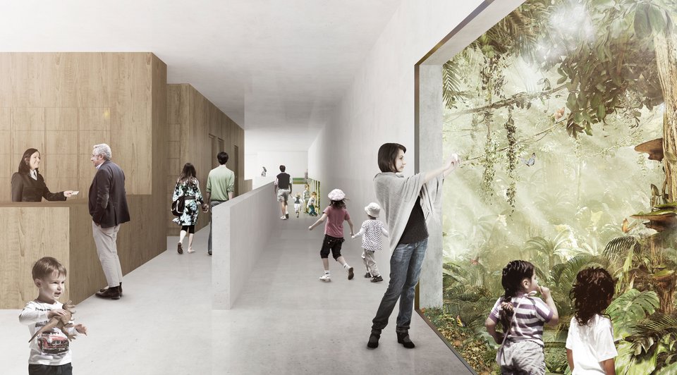 丨GermanyErfurt丨HAAS ARCHITEKTEN-7