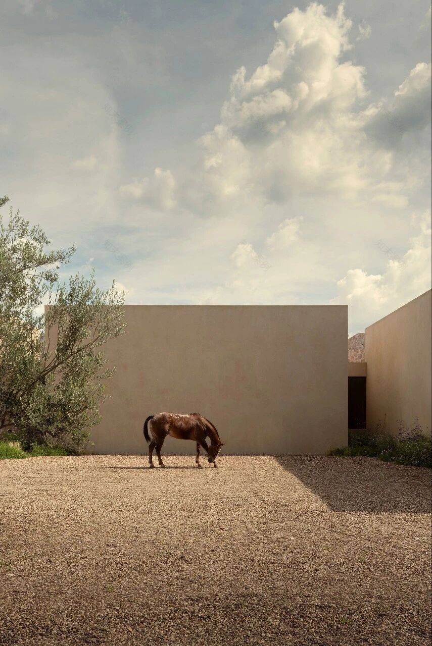 Casa San Francisco丨时间的回声·圣者之家丨墨西哥瓜纳华托-53