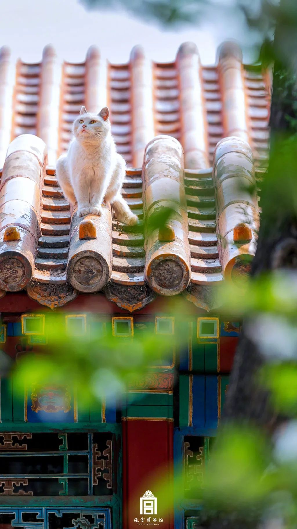 故宫传统颜色介绍丨日本设计小站-86