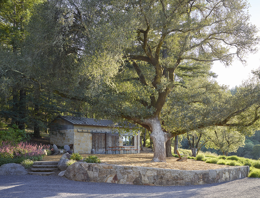 加州希尔兹堡,新旧交汇的野趣庄园 / Lucas & Lucas-19