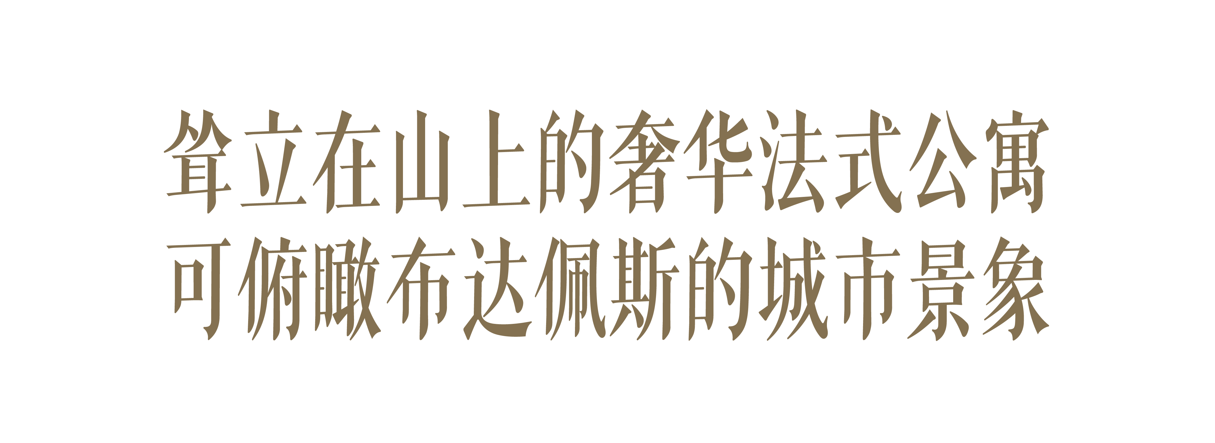 布达佩斯公寓设计丨匈牙利布达佩斯丨RF Studio-3