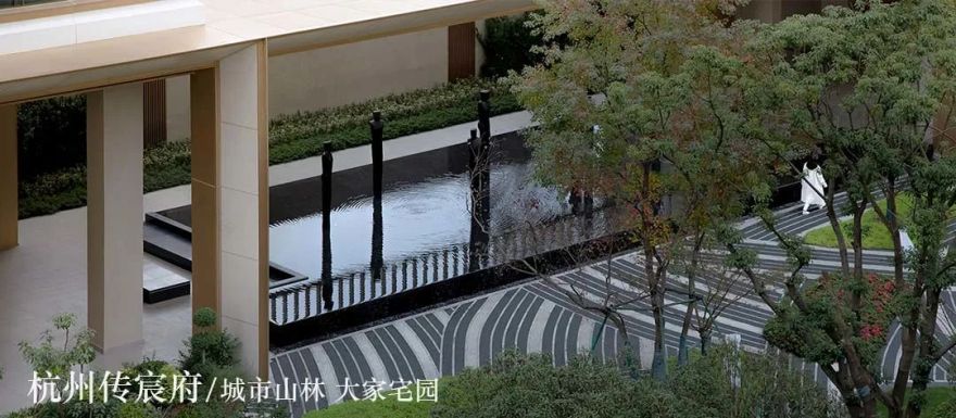 杭州西溪湿地龙舟赛丨中国杭州丨ZSD卓时-96