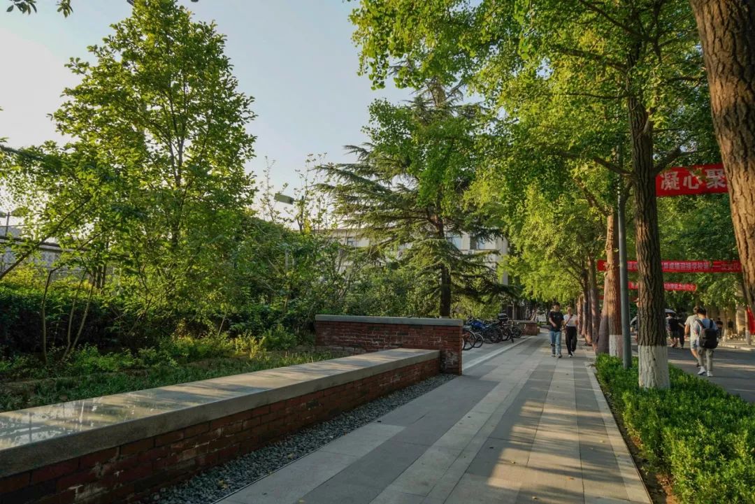 北京化工大学景观提升改造-48