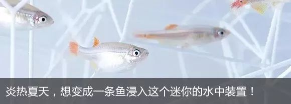 Nendo 打造会移动的儿童游乐场，AI 技术颠覆传统游憩体验！-79