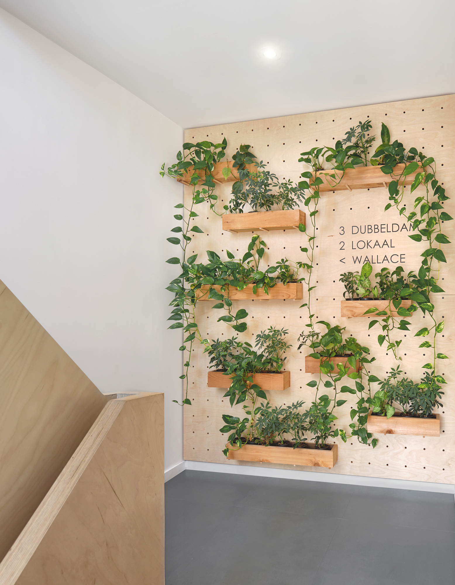 多功能创意社区丨Dubbeldam Architecture + Design-17