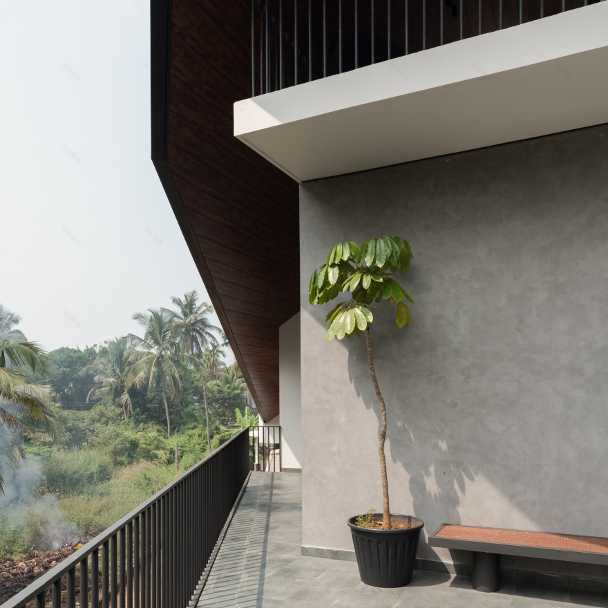 丨印度丨TROPICAL TONES-47