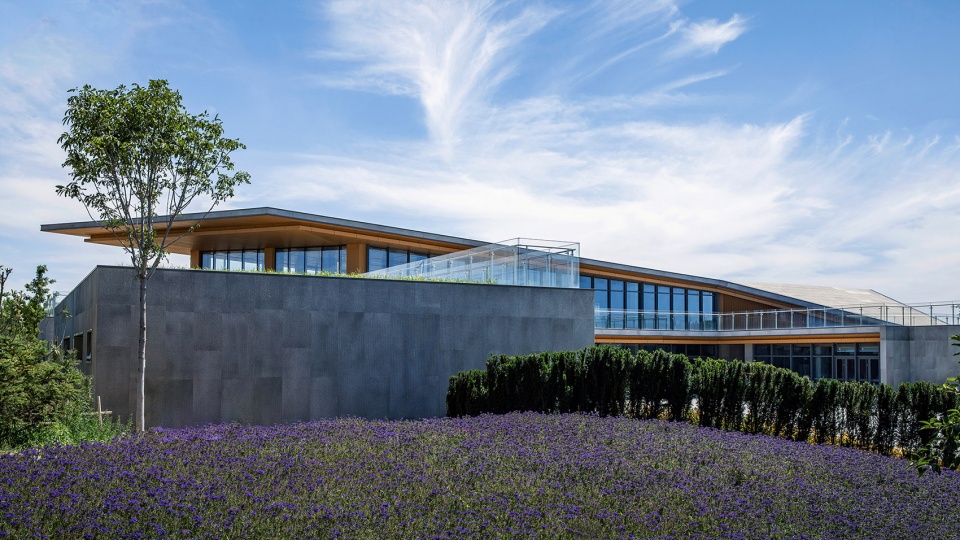 大地之痕:七色山矿坑花园游客中心
,青岛 / UUA建筑师事务所-14