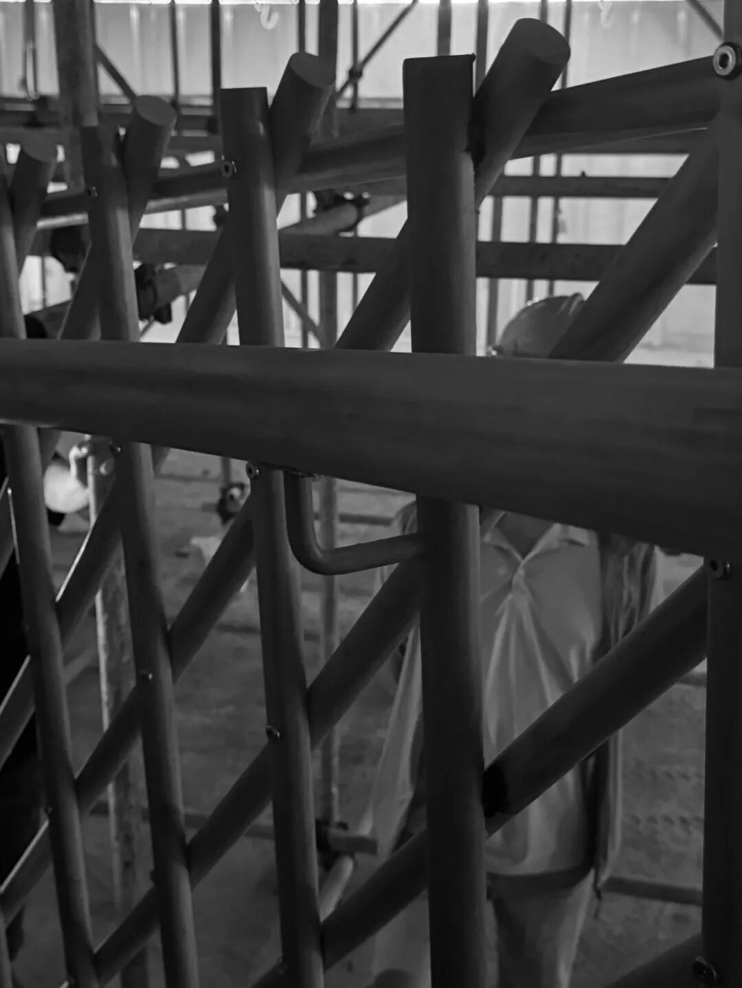 say|在景德镇的手工艺术故事正在撰写中-58