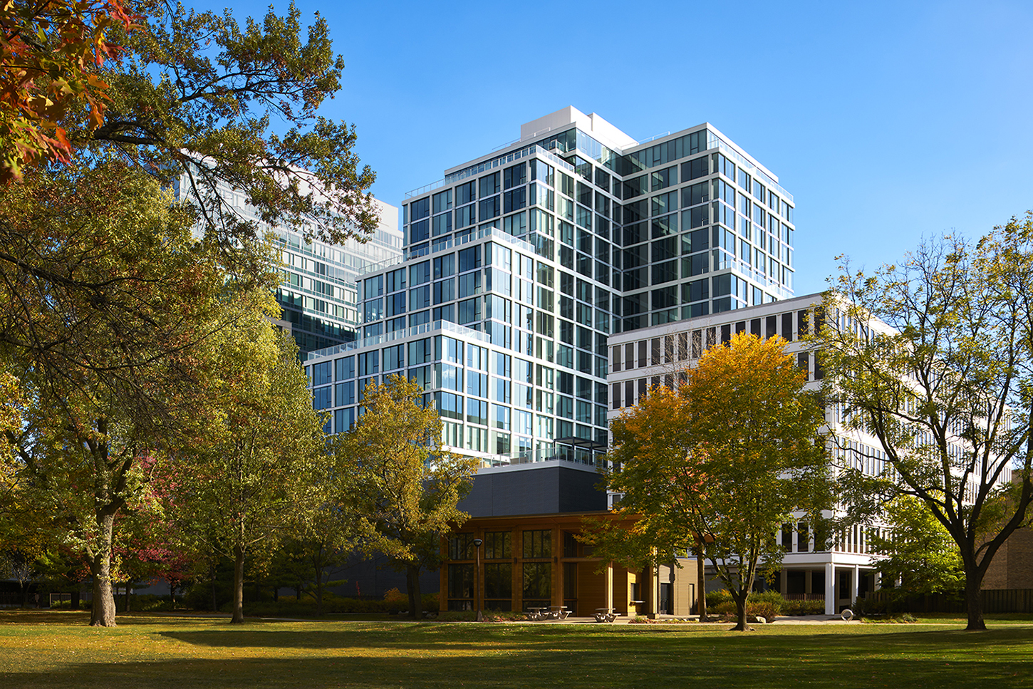 阿尔比恩橡树园（注：Albion常见音译为阿尔比恩，Oak Park直译为橡树园 ，具体地名可能需结合实际情况确定） 丨HARTSHORNE PLUNKARD ARCHITECTURE-5