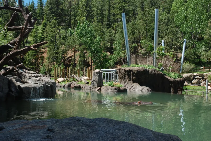 水际之地:非洲丨美国科罗拉多斯普林斯丨SH|R Studios-36