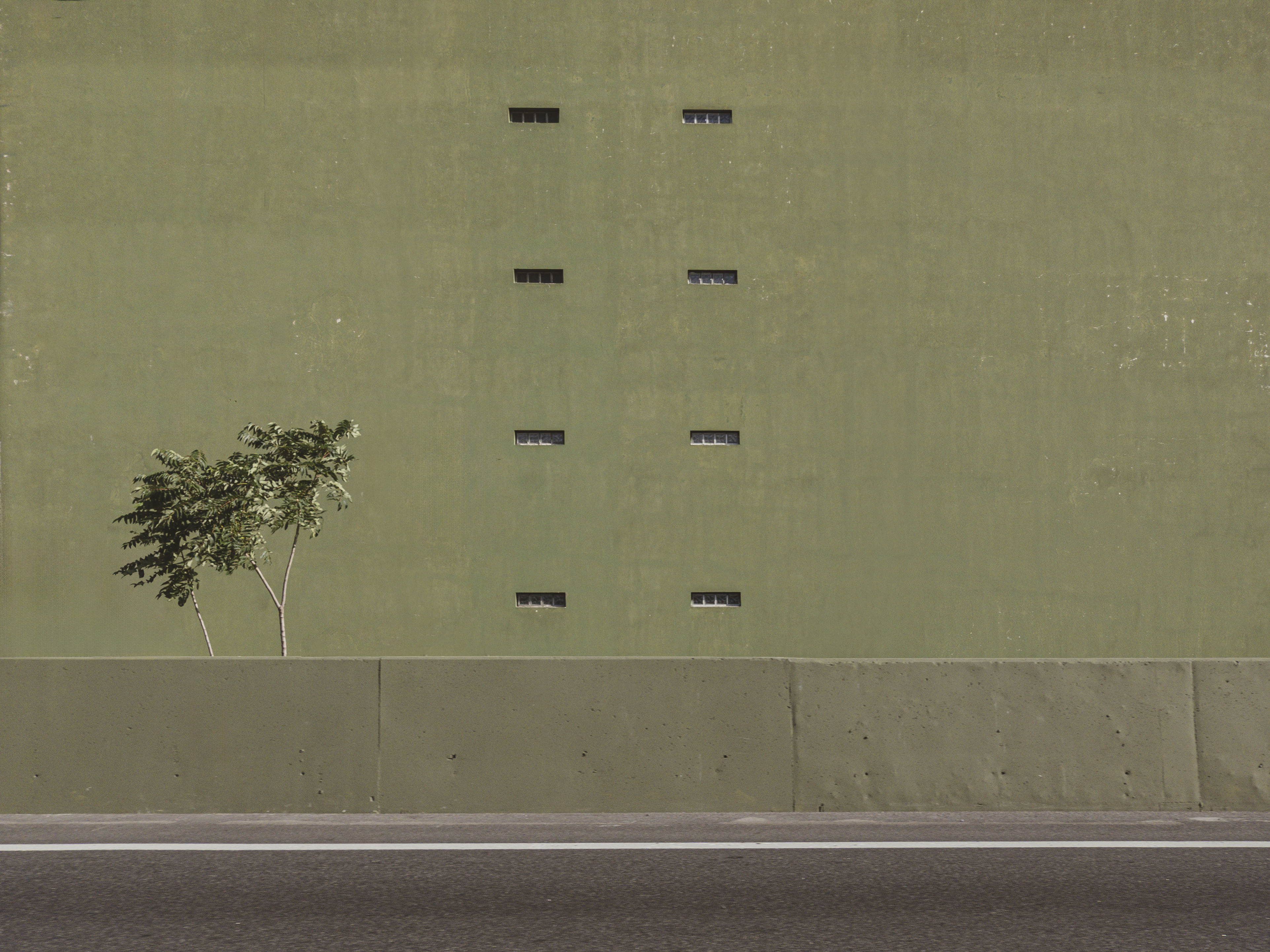 城市间奏曲丨阿根廷布宜诺斯艾利斯-14