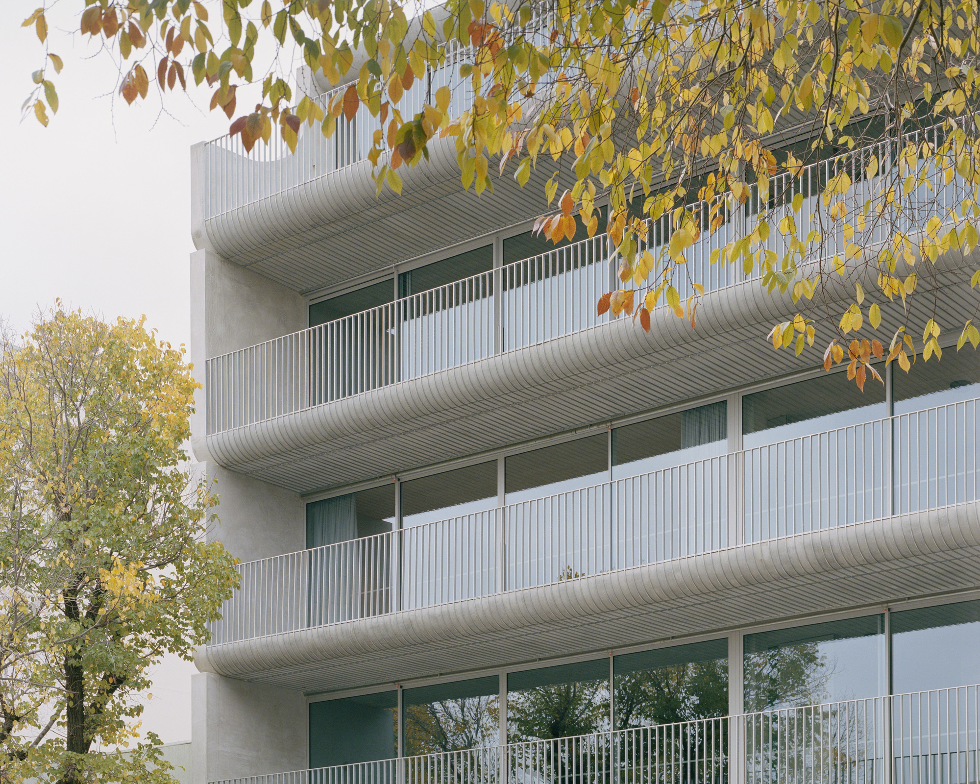 纳皮尔街 231 号住宅楼丨澳大利亚丨Edition Office-13