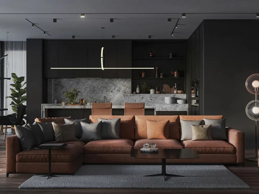 现代木质风的居住空间-2