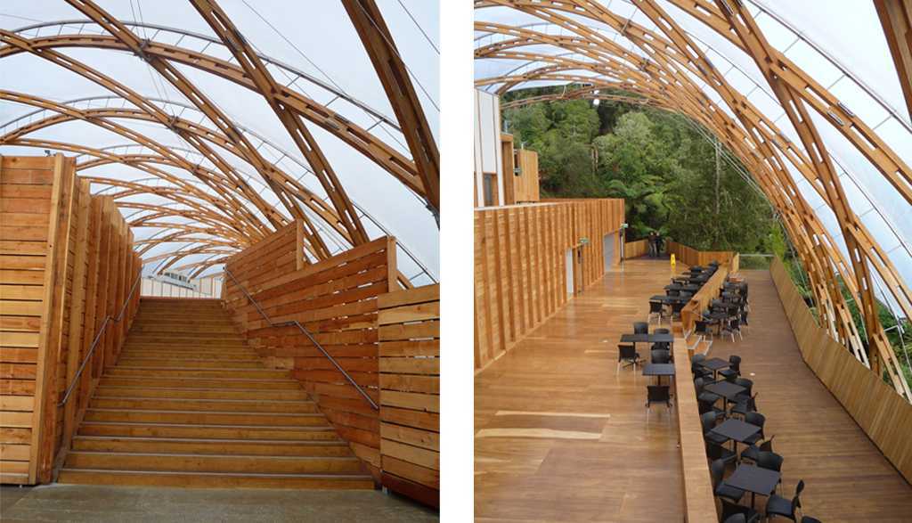 怀托摩洞游客中心丨新西兰丨Wraight + Associates-27