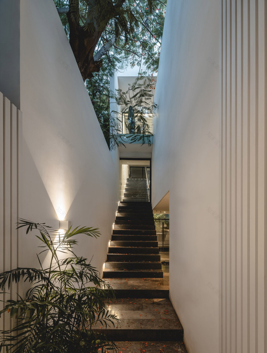 THE ASYLUM办公空间丨墨西哥丨Arkham Projects-26