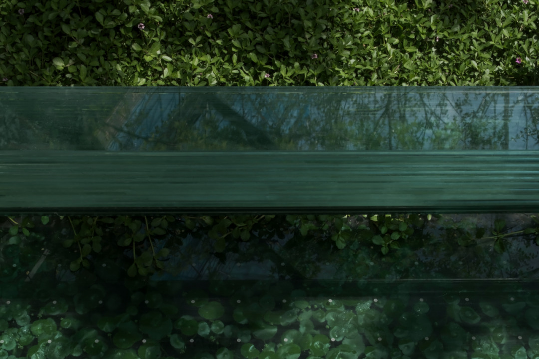 让山林的风，吹向城市|苏州蠡棠森屿-64