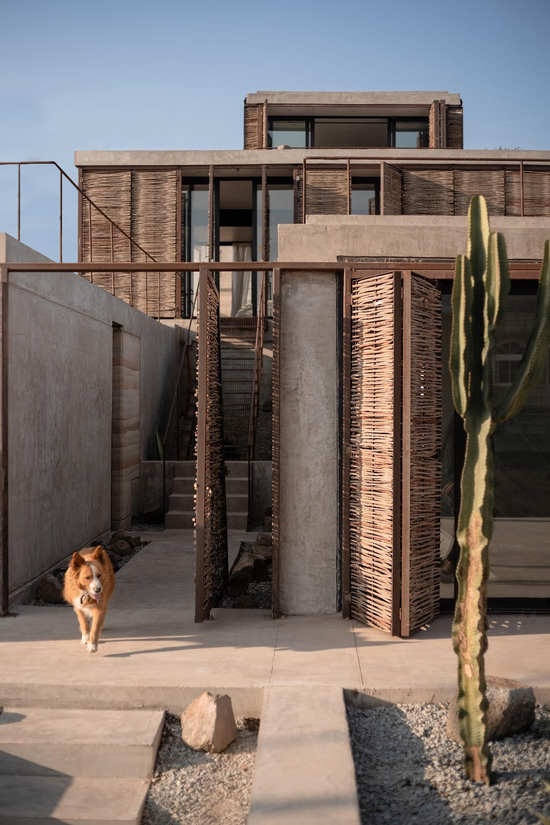 玛莎之家丨墨西哥丨Arquitectura nativa-17