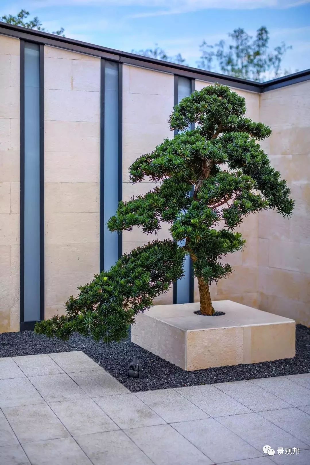 景观中的“松石配”-61