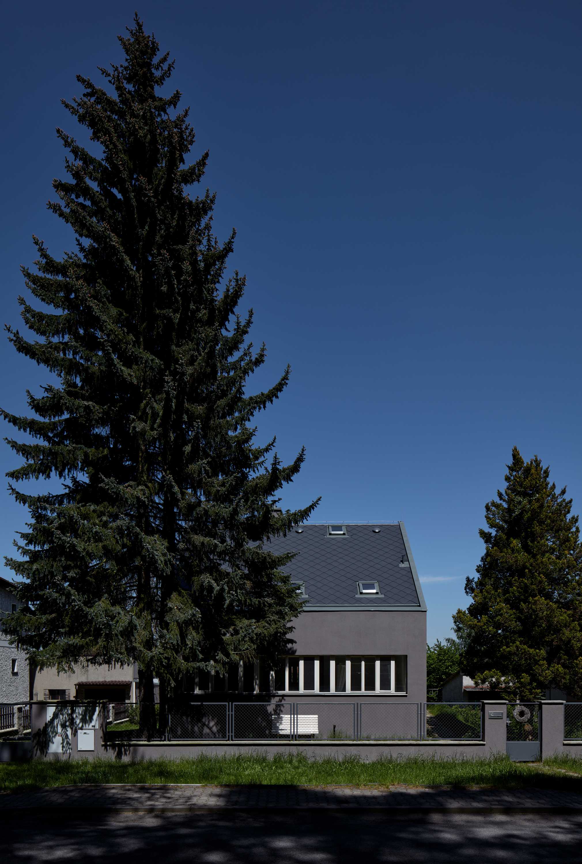 house by the forrest-12