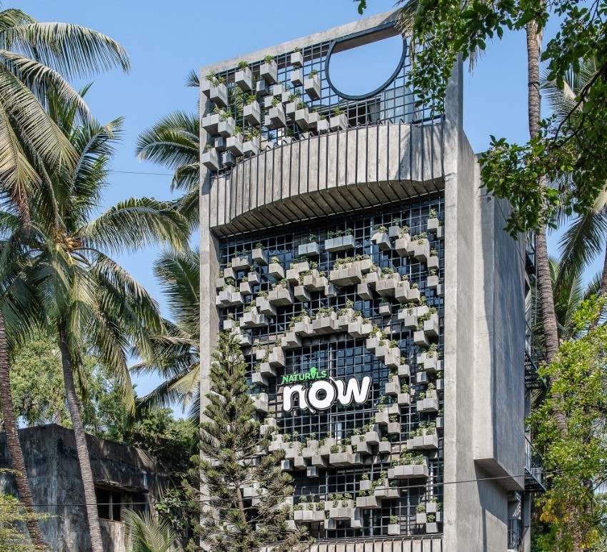 Naturals Now Shop / Drink Water Design Studio-24