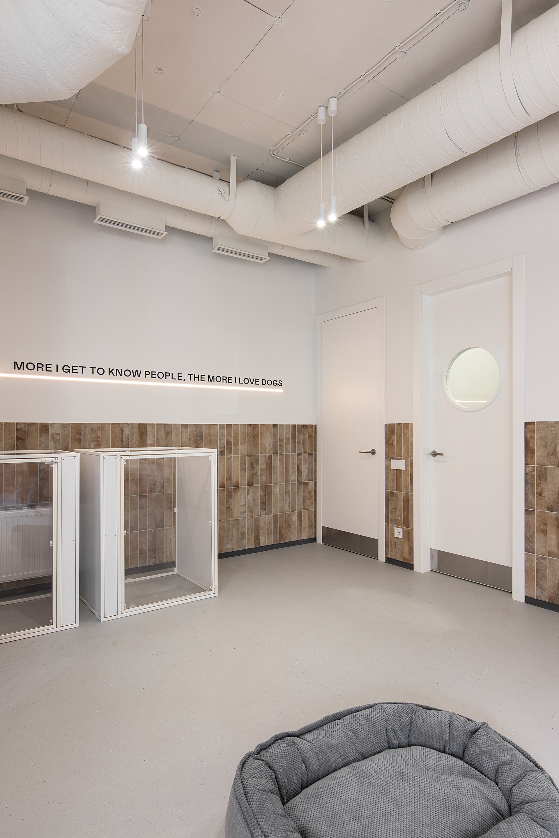 宠物医院丨乌克兰基辅-38