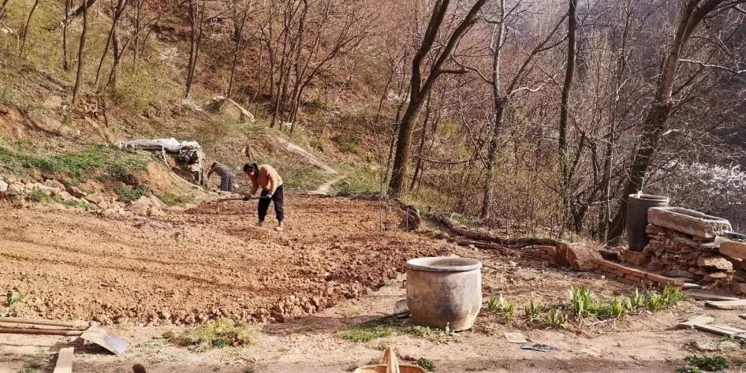 终南山书院 | 回归自然的诗意栖居-102