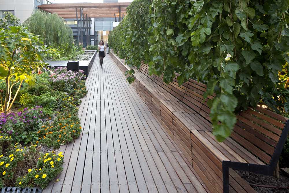 以色列赫兹利亚科技园区的“绿色云”丨Moshe Zur 建筑事务所-4