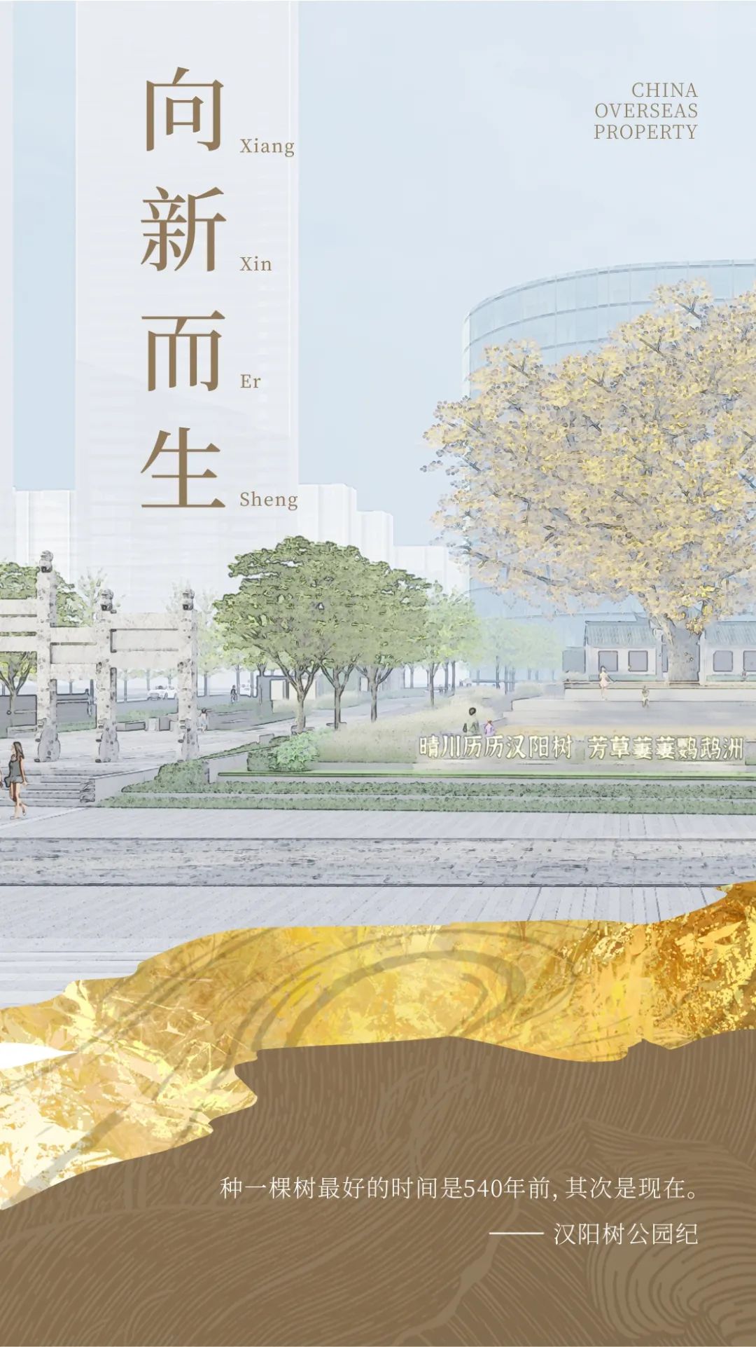 为540岁汉阳树安“新家”，中海守护文化“活化石”-1