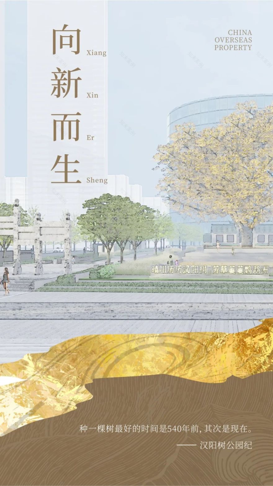 为540岁汉阳树安“新家”,中海守护文化“活化石”-1