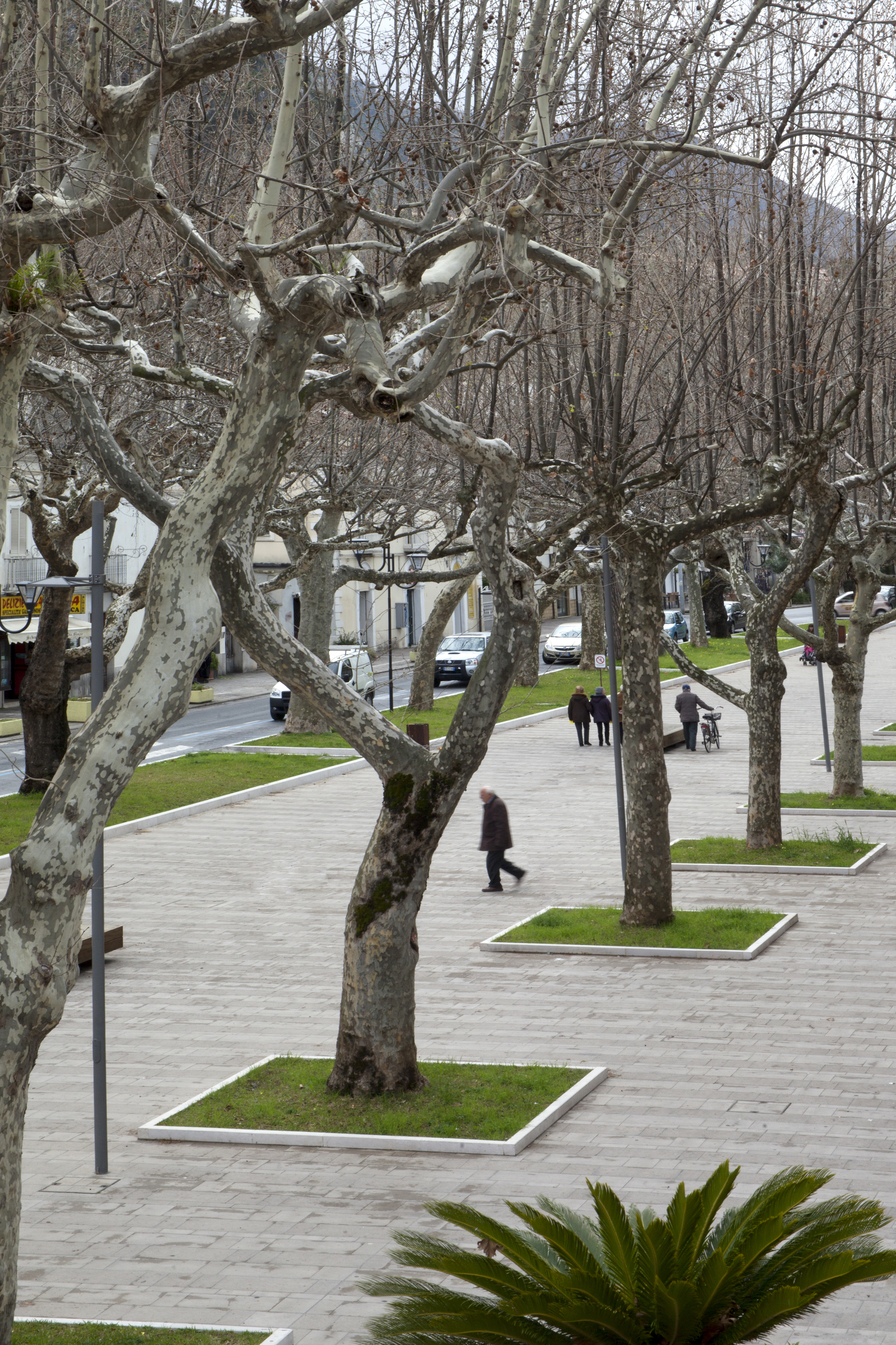 Viale della Liberté 景观升级项目丨意大利丨Studio Bradaschia-18