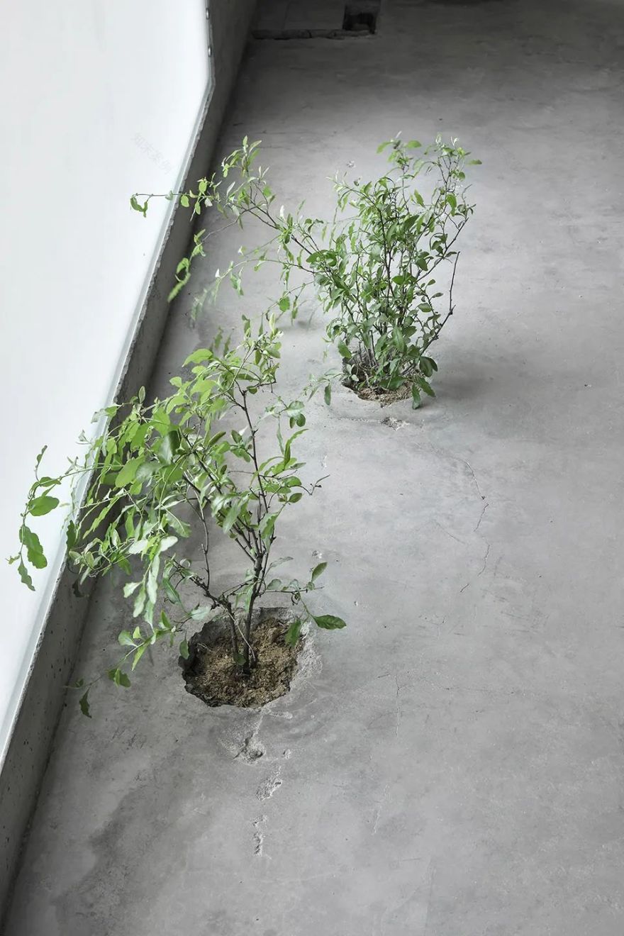 林省工作室丨中国厦门丨退化建筑-37