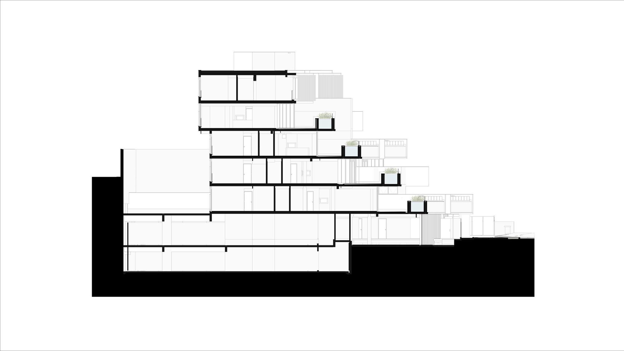 三棵无花果树丨巴西丨OSPA Arquitetura e Urbanismo-14