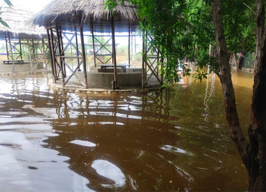巴基斯坦百万抗水灾住房建设项目丨巴基斯坦遗产基金会（Yasmeen Lari参与）-45